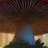 Calm Vers 12 Inch 6 Inch Girth Mushroom Male Enhancement Subliminal