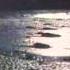 Northwind Many Tribesmen 1971