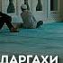 МошоАллох бехтарин мавлуд