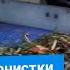 Очистка замороженной облепихи на ветках на производстве