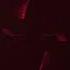 YouNotUs Janieck Senex Narcotic