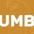 Rumba Drum Metronome Loop 80 BPM