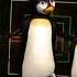 Penguins Dancing Sound Variations In 34 Seconds