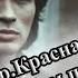 ПЕСНИ ПАМЯТИ ВИКТОРА ЦОЯ АЛЬБОМ ГРУППЫ КРАСНАЯ ПЛЕСЕНЬ 2021 СБОРНИК ОТ ВИНЧИКА