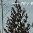 Darom Dabro При большой луне 2014
