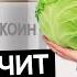 Как лечить атрофический гастрит Эффективные способы лечения ЖКТ