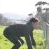 How Animals Get Over A Fence Part 2 Shorts
