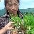 CEO Huy And Tieu Tien Feel Happy In The Rice Fields And Family Meals