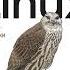Аудиокнига Linux Командная строка Лучшие практики Pdf Epub Дэниел Джей Барретт