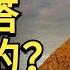 埃及金字塔是巨大謊言 原來的19世紀用混泥土建造的 你被騙了嗎 我是江無情