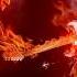 Alesia DJ Snake Bird Machine Original Mix