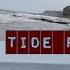 Visiting Tide Pools Exciting Last Day In Long Beach Dolphin Siting Vlog 6 QUEEN RIKOT