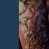 Biography Net Wroth By Rubi Rose Biography Wiki Lifestyle Age Rubi Rose Bio By Lifetale