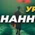 6 уровней ОСОЗНАННОСТИ Жертва Борец Искатель Игрок Творец Источник