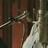 Tony Bennett Queen Latifah Who Can I Turn To When Nobody Needs Me From Duets II