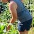 It S About To Get Busy A Day Of Hay Garden Work Country Cooking June 2025