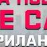 Как получить карту побыту или Blue Card с бизнес инкубатором