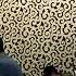 Samarqand Tuy 2021 Azart Jasur Raxmatov 998933330413