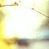 Sean Norvis Ft Copamore Justine Berg Embrace Me Redd Daniel Skull Beats Remix