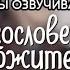 Как озвучиваем Благословение Небожителей Бэкстейдж со студии РуАниме DEEP