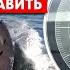 Война морских дронов что Украина и союзники могут противопоставить РФ