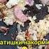Ужин штурмовика Десантники на СВО штурмовики вдв ужин навойне новоевидео рекомендации