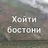 хойти бостони