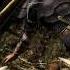 Dark Messiah Of Might And Magic Walkthrough Chapter 3 Dead Man S Trail HD