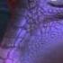Teaser AJK