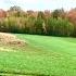 YOU VE GOTTA SEE THESE COLORS Hitching Up A Single Draft Horse To Rake Hay With Fall Foliage