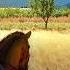 Witcher 3 The Last Wish Project A Fully Playable Recreation Of The 1st Witcher Book