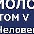 08 Основы социологии Том 5 глава 17 часть 5