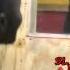 Jigsy King Rappa Pam Pam Dubplate