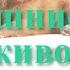 ДОМАШНИЕ ЖИВОТНЫЕ Карточки ДОМАНА Анимационные видеопрезентации