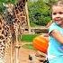 Diana Feeds Animals At The Zoo Fun Family Trip