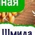 Пророщенная пшеница польза как прорастить и употреблять