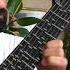 Cahit Berkay Al Yazmalım Acoustic Adjustable Microtonal Guitar