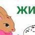 Ой на горі жито