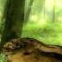 Martin Sas Neverending Story Original Mix HD
