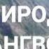 ГОФИЛ МАНИШИН КИ МЕРАСАД РУЗИ ЧАЗО