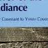 Terror Of The Radiance Language History Cuneiform Books Babylonian Hittite Booktok