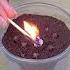 Flies And Mosquitoes Will Flee From Your House With This Easy Homemade Recipe
