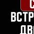 Петр Мамонов Цитаты Как Точно Сказано