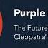The Future Feat Antony Cleopatra Purple Disco Machine Remix