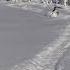 Почему я в офисе а пацан в 7 лет на фрирайде в Приисковом горныелыжи Ski юмор прикол зима