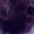 Cat S Reaction To Meow Mix Cyriak