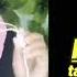 Karaoke Thomas Arya Ft Yelse Dinding Kaca