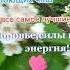 Крепкое здоровье и энергия Саблиминал