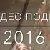 Летний лагерь TODES Подмосковье 2016