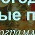 Новогодние ручные пьесы знакомьтесь